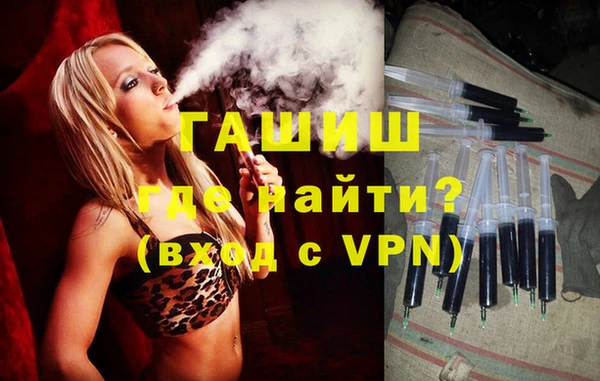 прущие грибы Гусиноозёрск