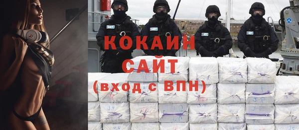 прущие грибы Гусев