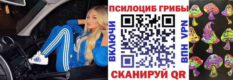 Галлюциногенные грибы GOLDEN TEACHER  дарк нет состав  Дегтярск  даркнет сайт 
